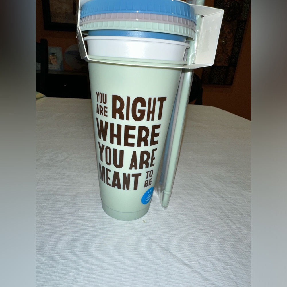 NWT 3 Pack Reusable 24oz Cold Cup With Lids And Straws.